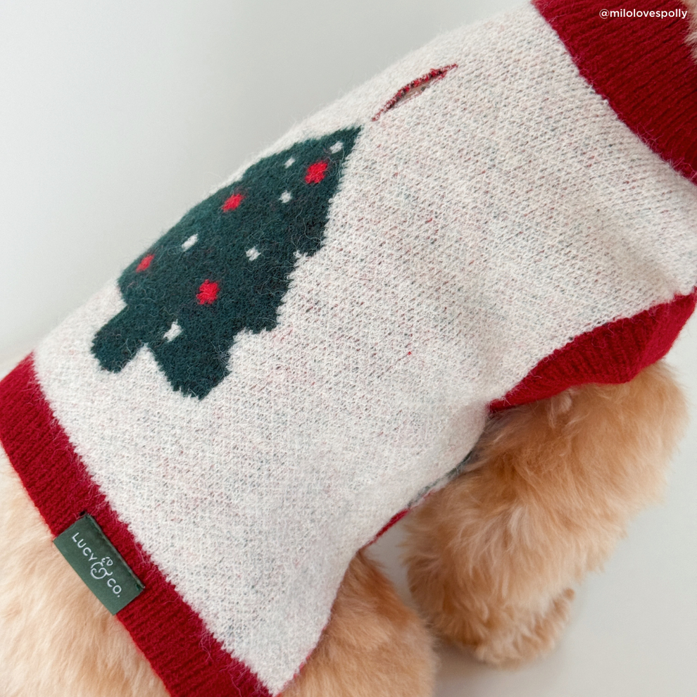 Snow Much Fun Sweater