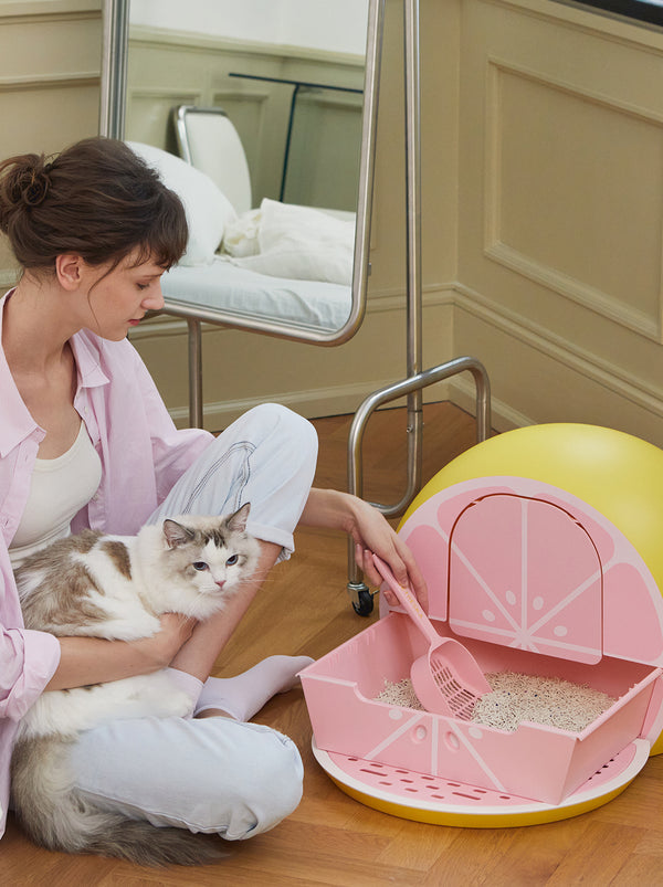 Litera para Gato Toronja