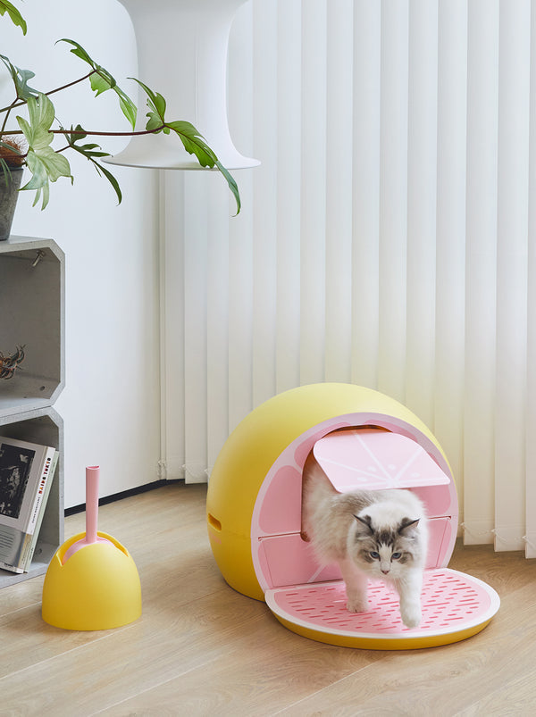 Litera para Gato Toronja