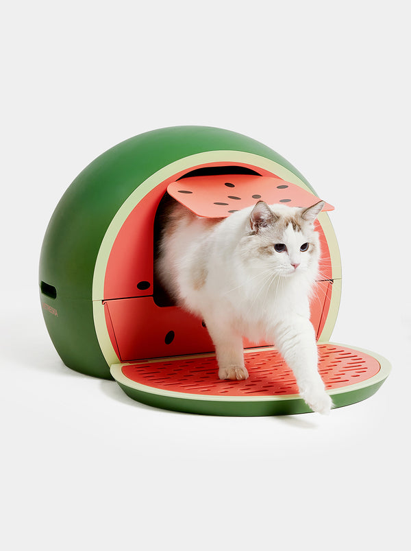 Litera para Gato Sandía