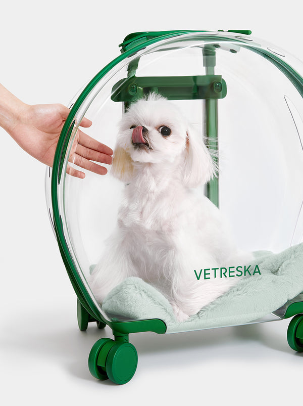 Carrier Bubble Pet Verde