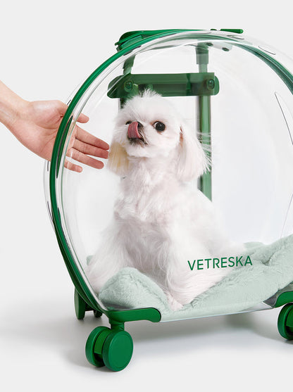 Carrier Bubble Pet Verde