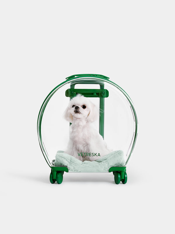 Carrier Bubble Pet Verde