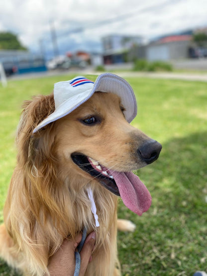 Chonete Típico para Perros y Gatos