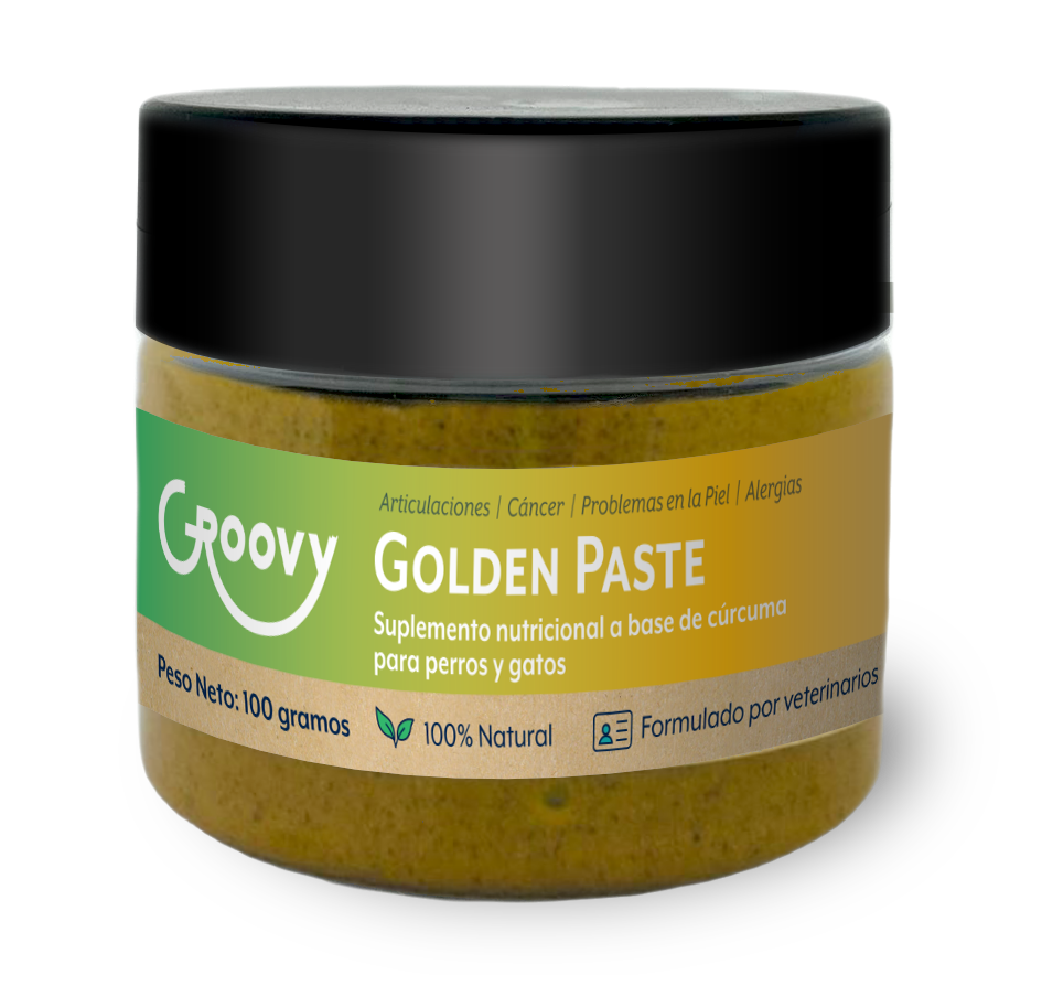 Combo Articulaciones Fuertes