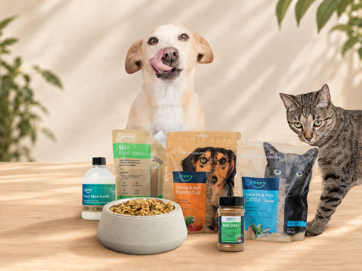 Perro y gato junto a recetas Groovy, caldo de res, kéfir, sprinkles y bowl de alimento natural