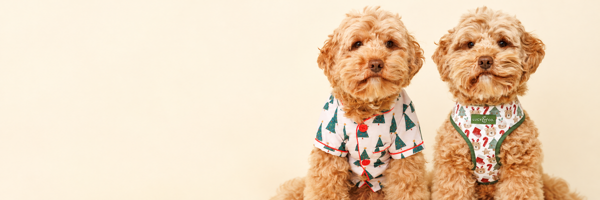 Dos perritos con pijama de arbolitos y pechera navideña